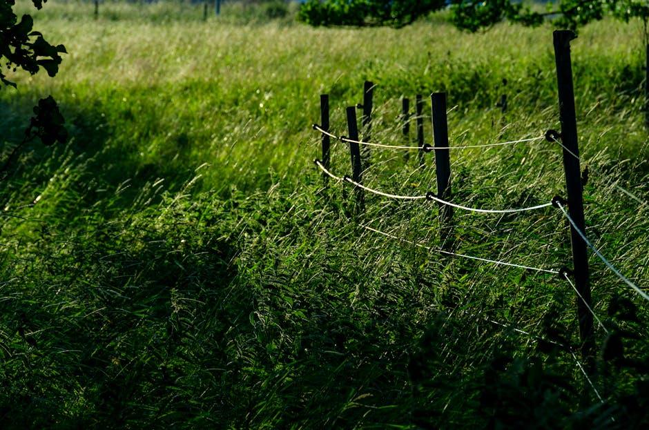 Ser y estar en español: claves para dominarlos
