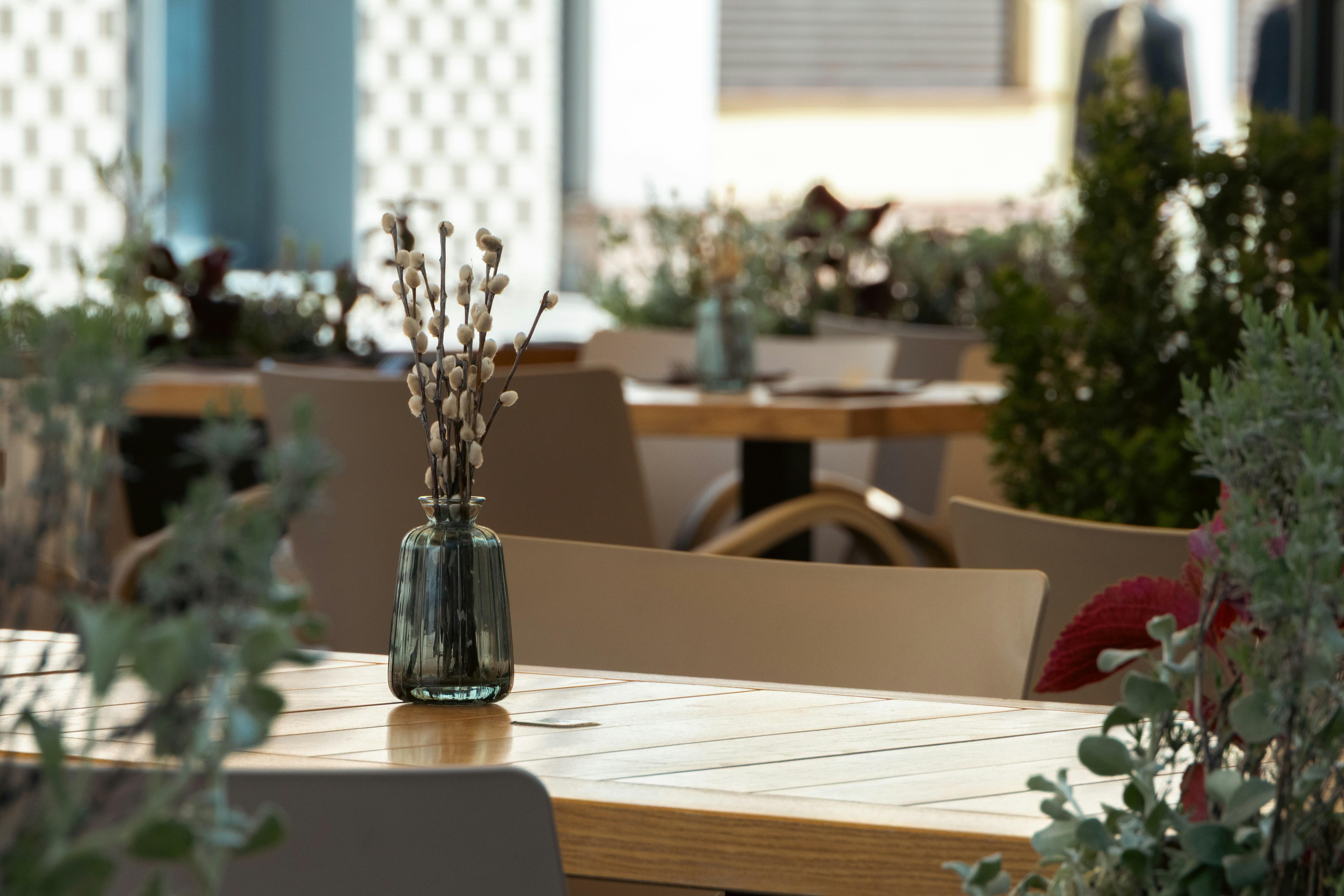 Características y usos del verbo 