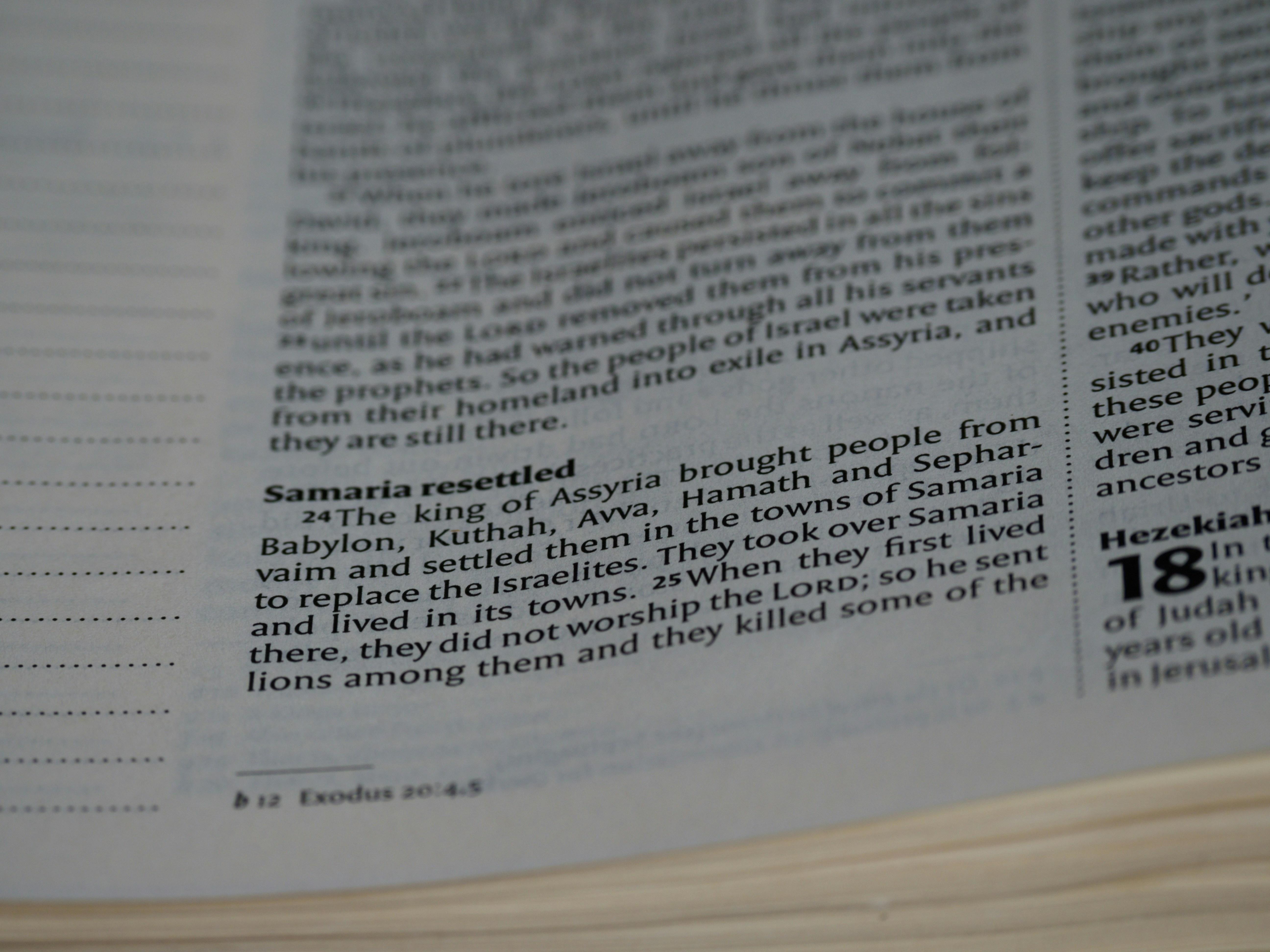 Introducción a los condicionales en español