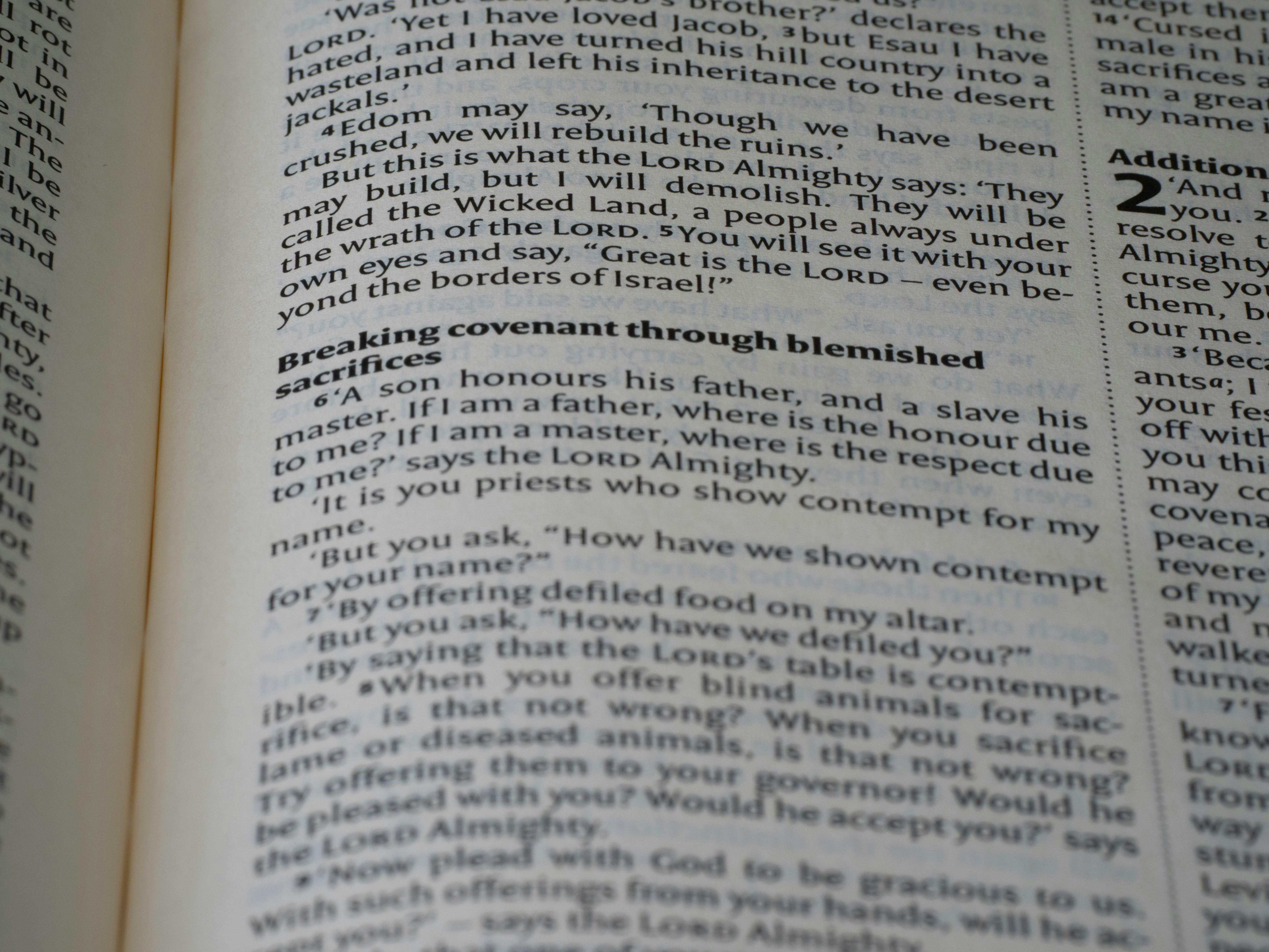 Uso y significado distintivo de 