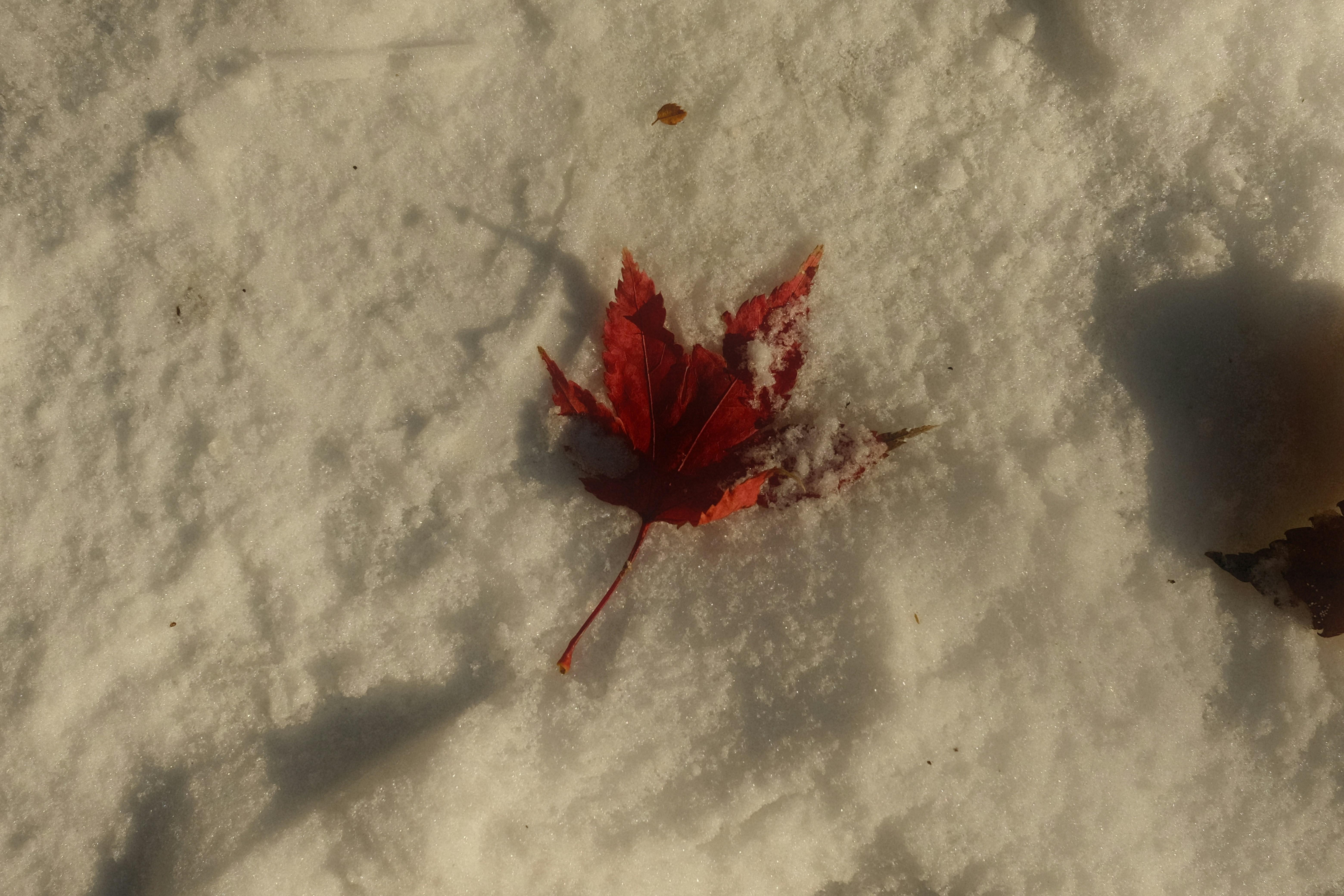 Usos de por y para en español: diferencias y ejemplos prácticos 5 Diferencias entre