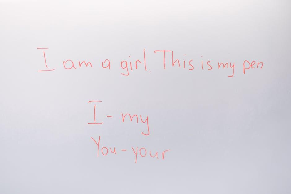 Introducción a los pronombres 'lo', 'la' y 'le' en español