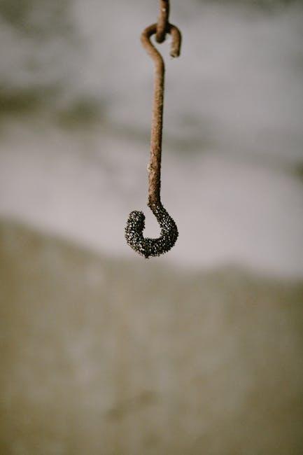 El pronombre 'le' y su uso en diferentes contextos