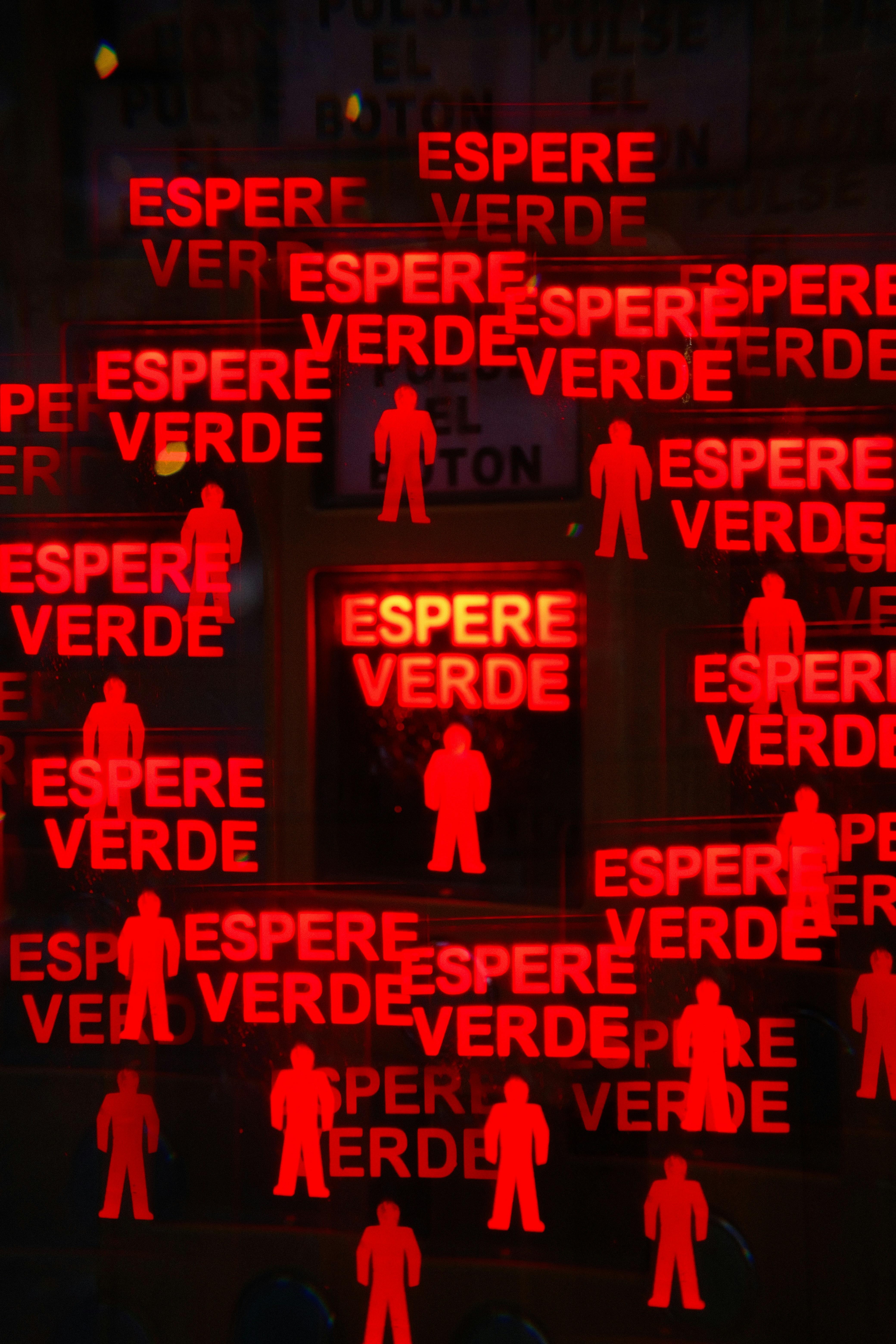 Introducción a los verbos 