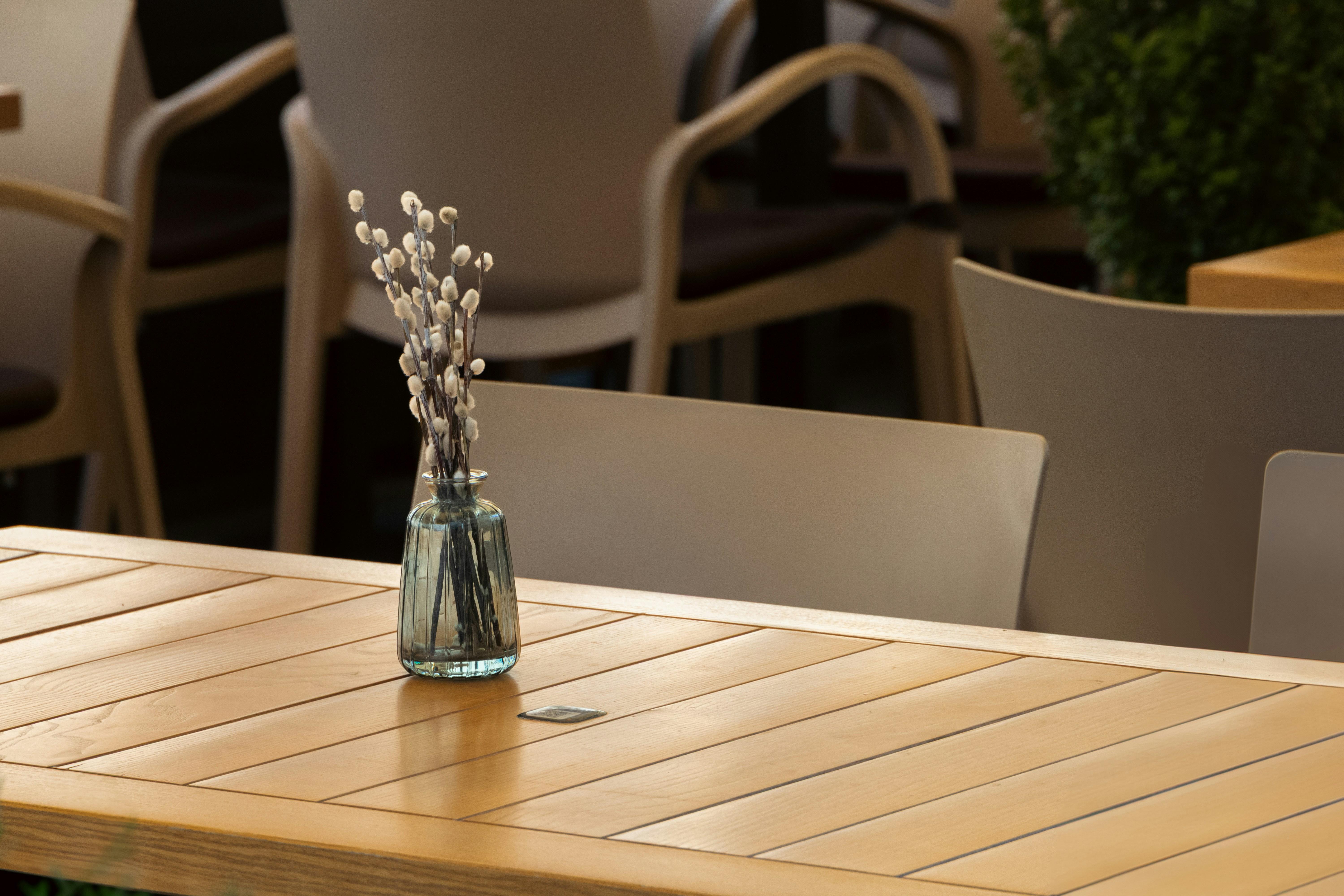 Usos y características del verbo 