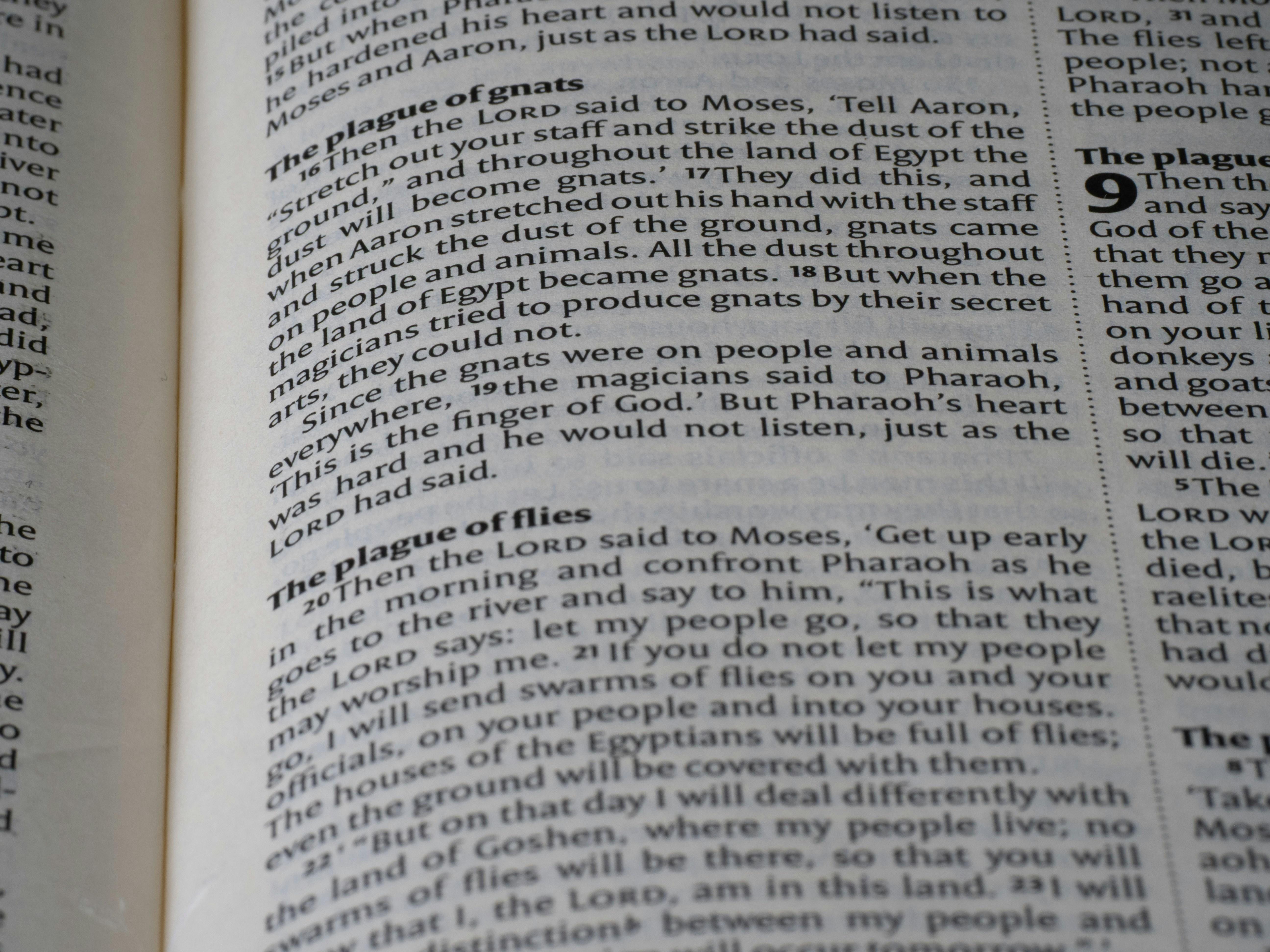 Expresiones que requieren subjuntivo