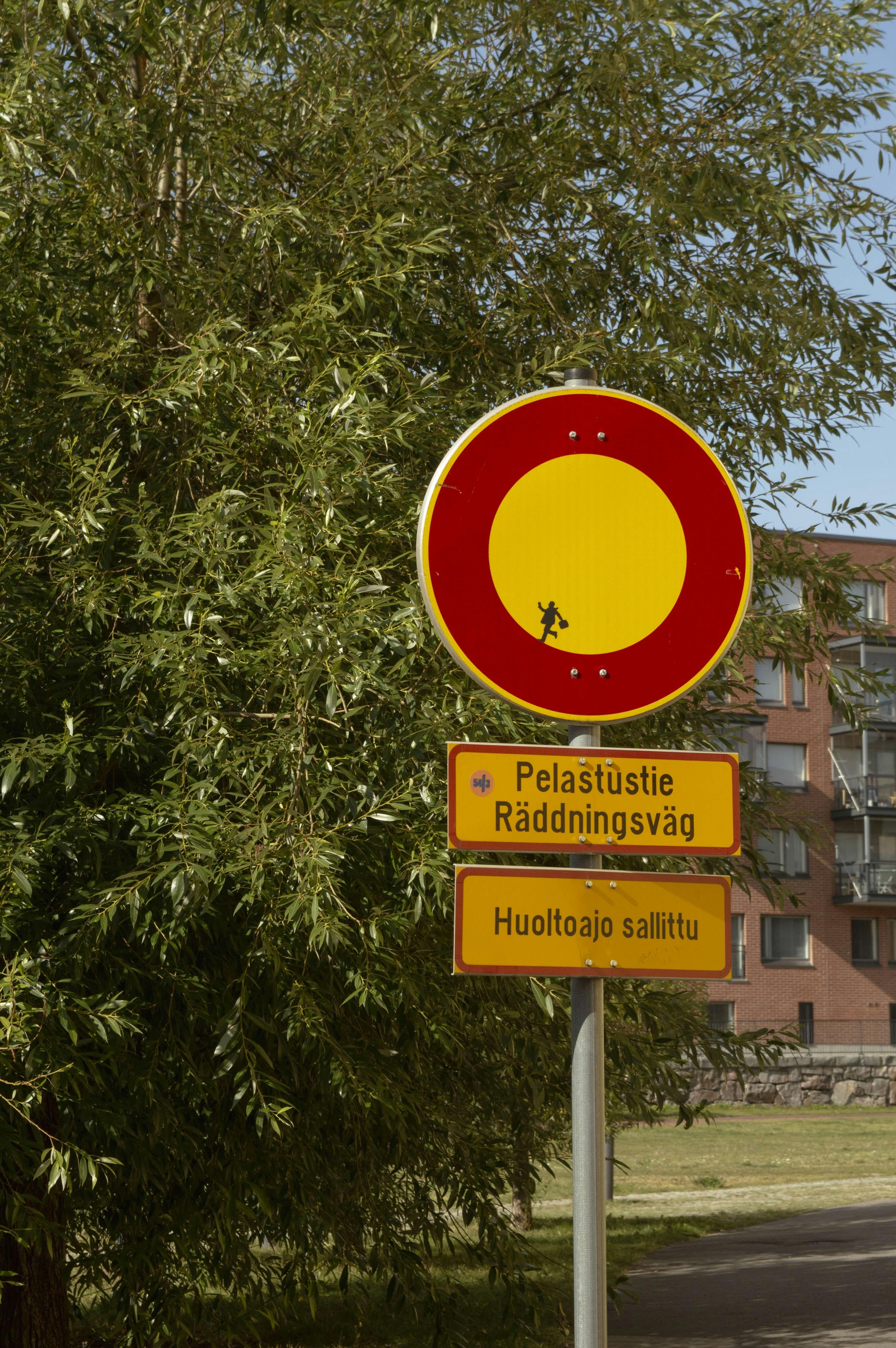 Consejos prácticos para dominar los condicionales en el DELE