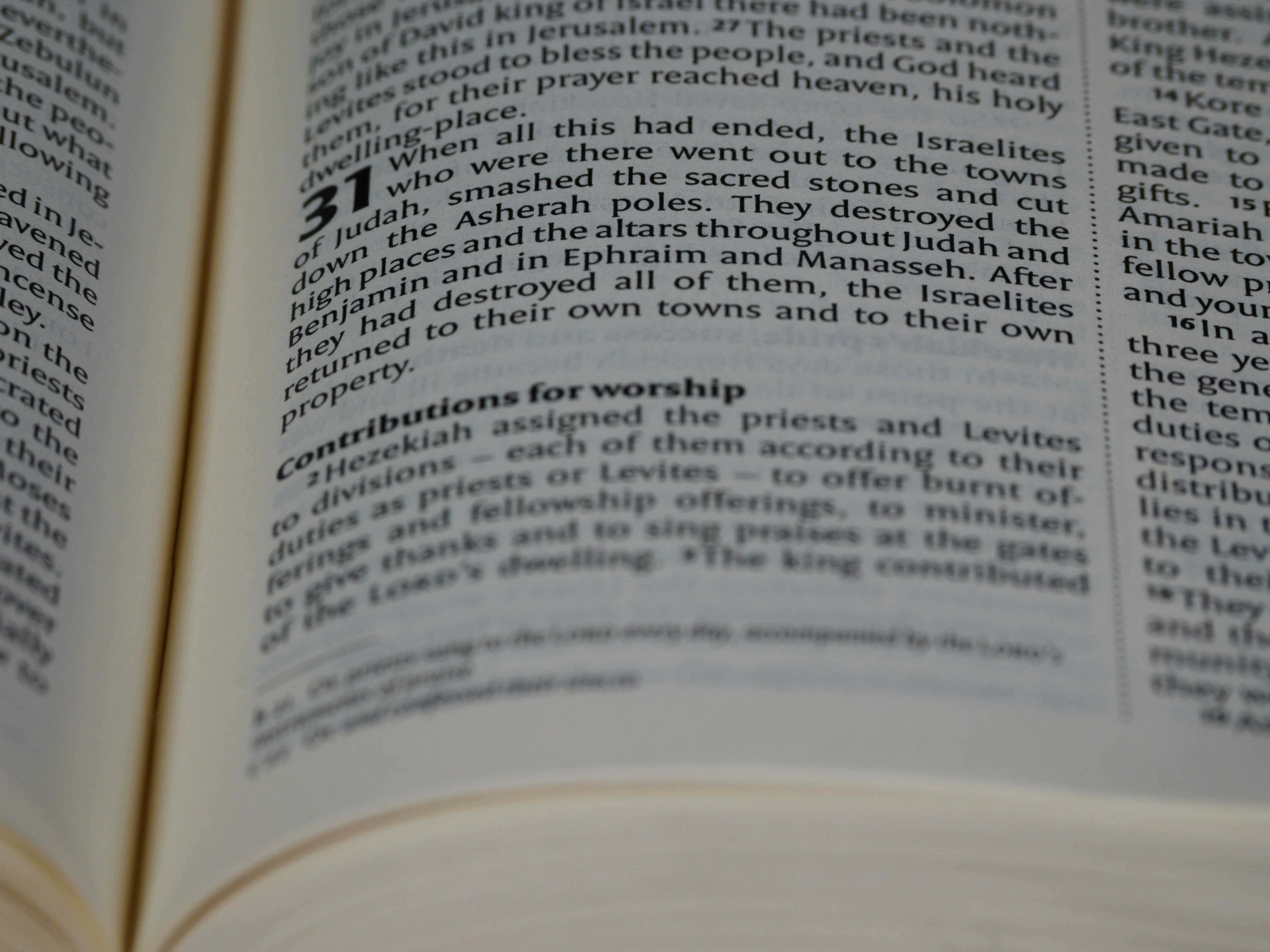 Uso correcto de los condicionales en situaciones específicas