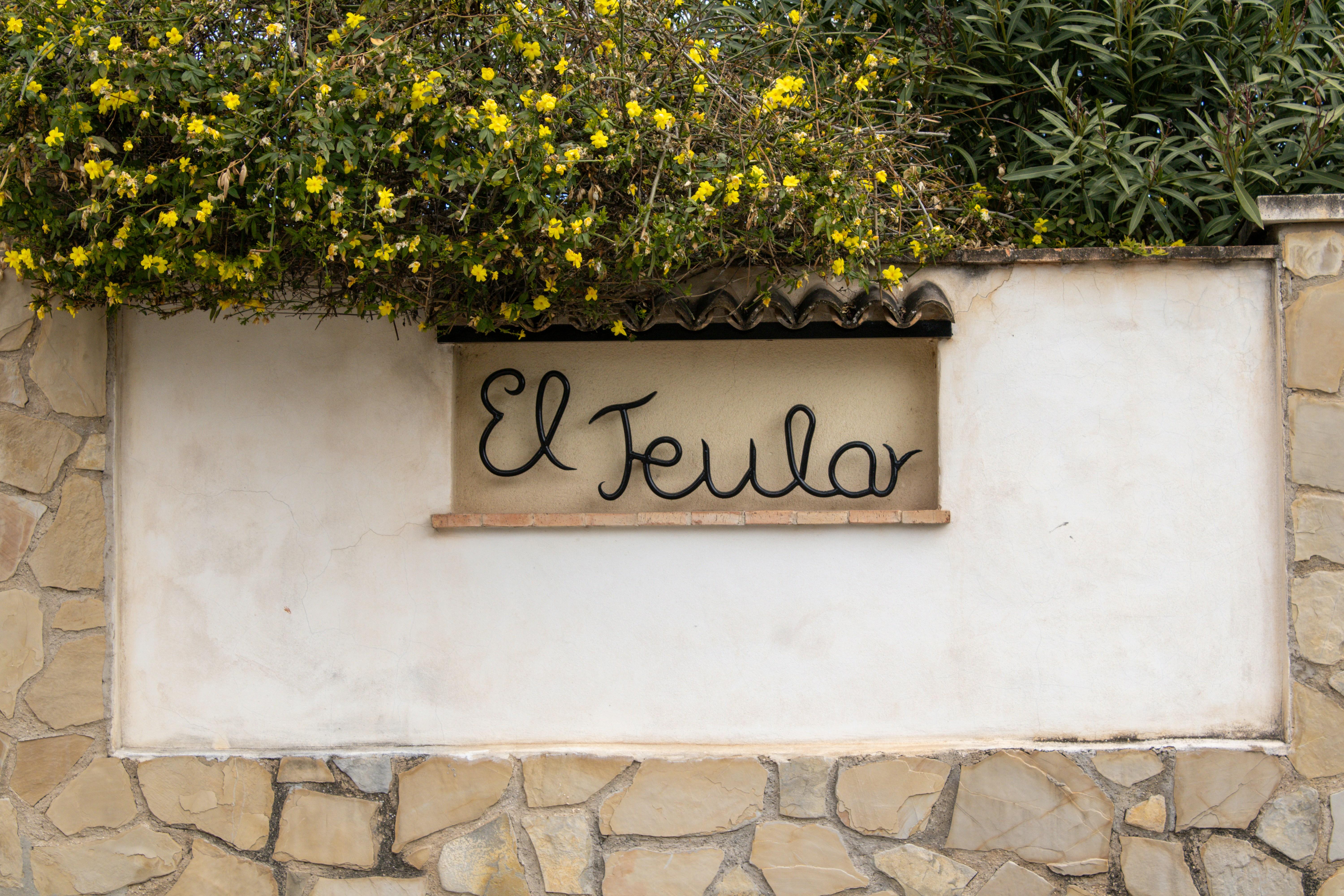 Diferencias fundamentales entre 