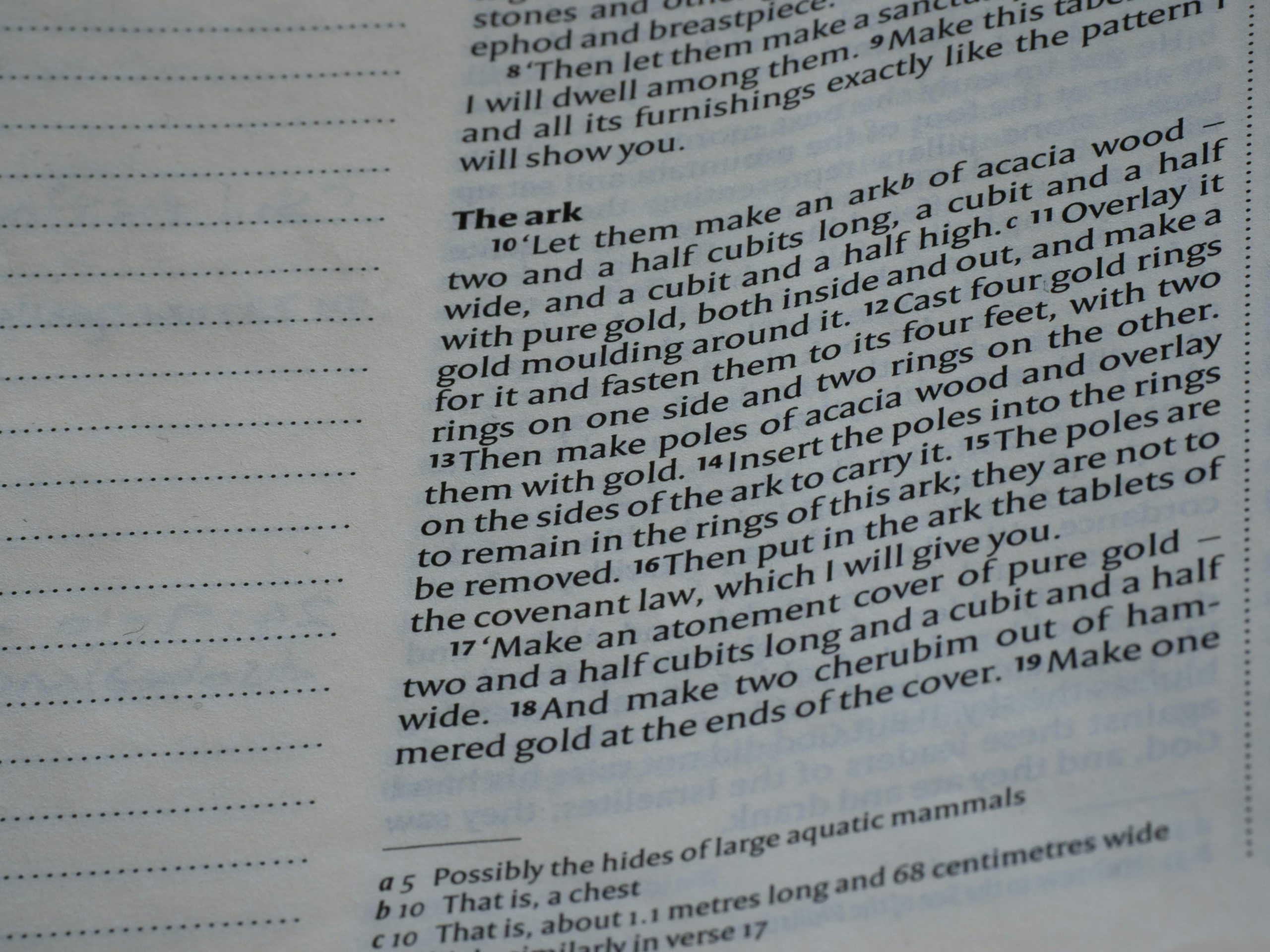 Domina las diferencias entre ser y estar en español