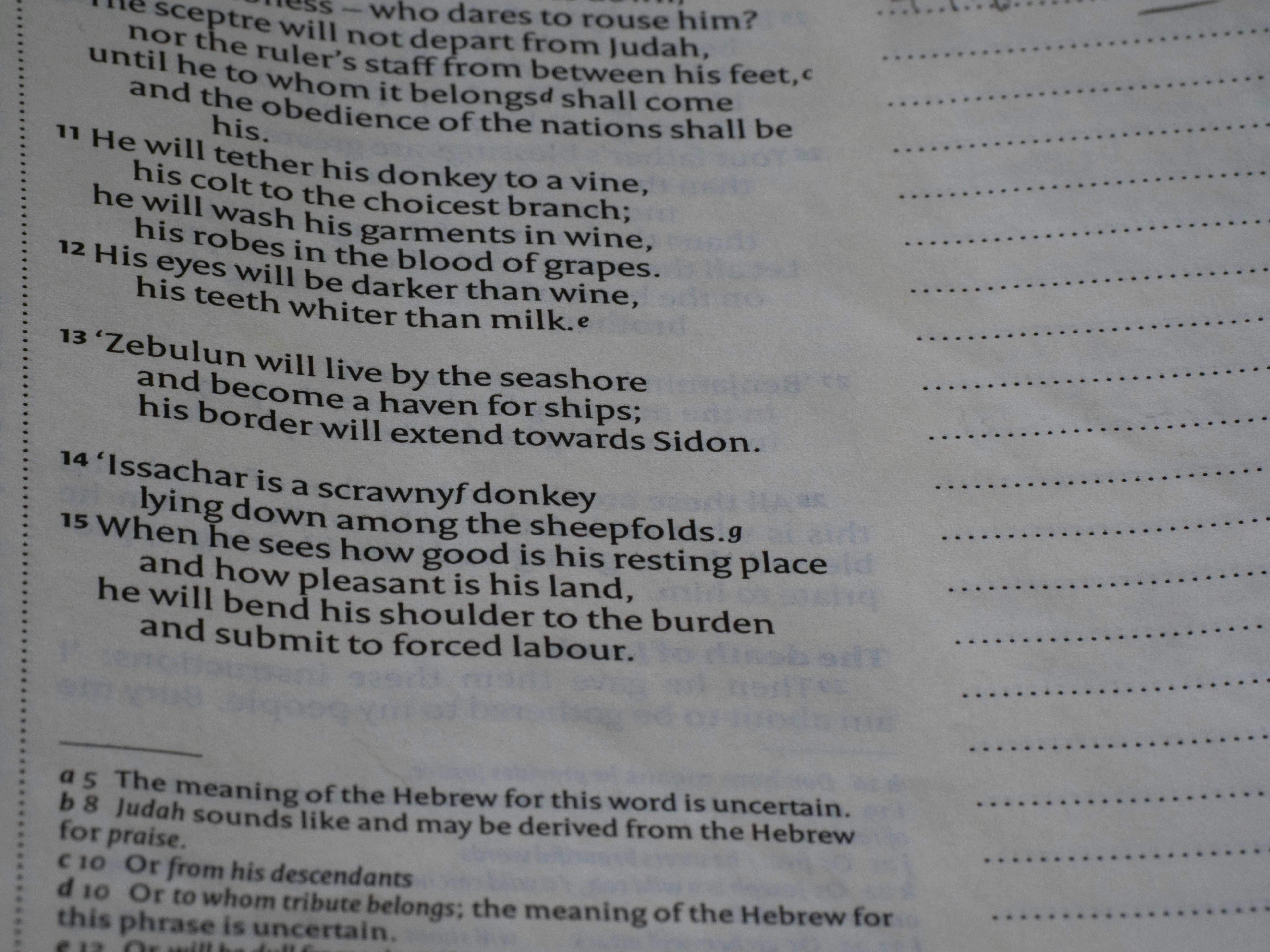 Uso de pronombres: lo, la, le en español