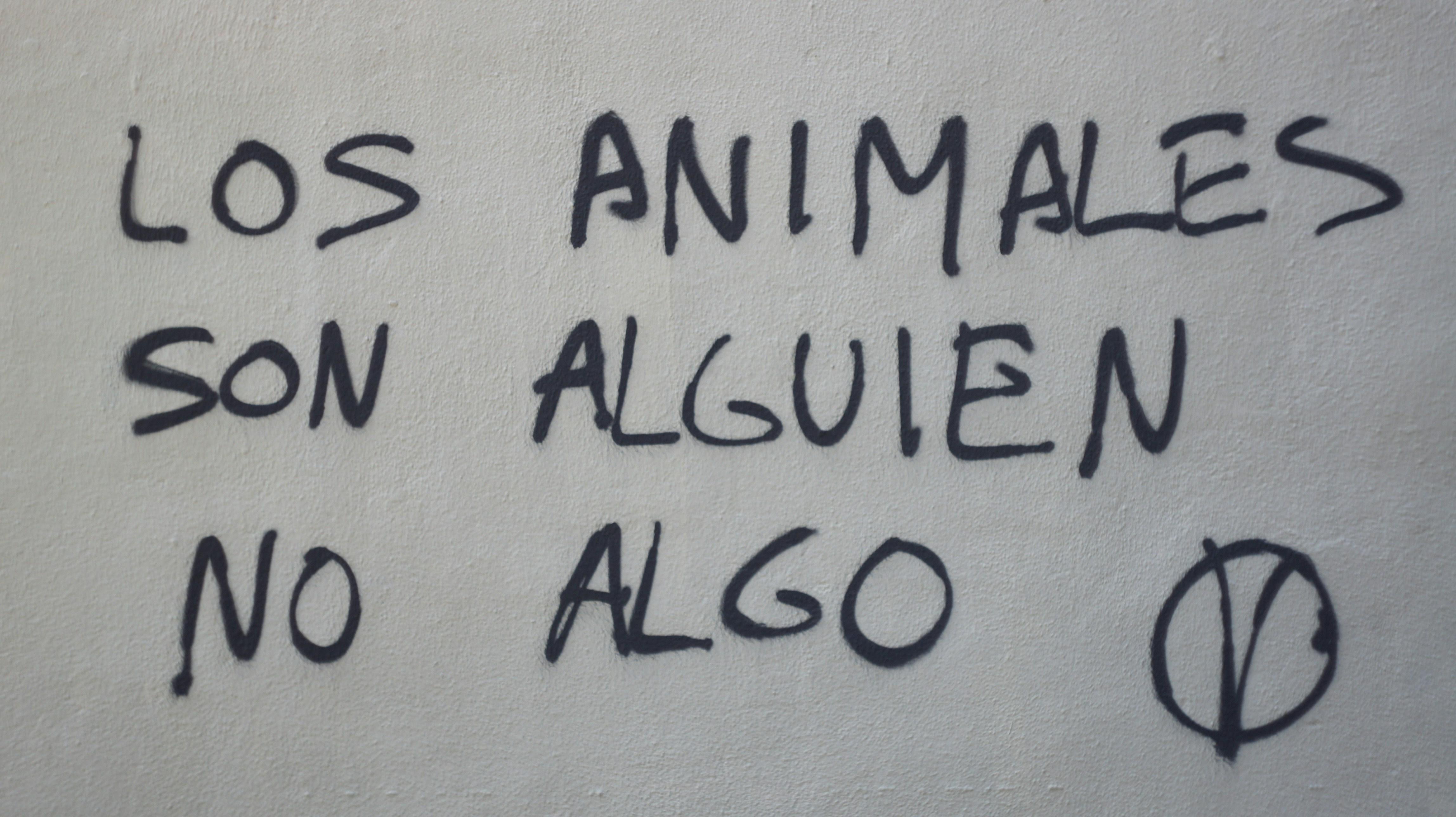 Usos comunes del verbo 